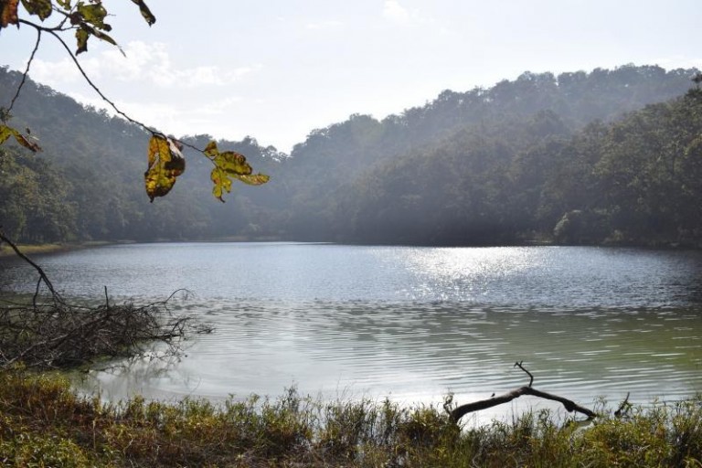 Jhilmila Lake – Queen Lake of Kanchanpur